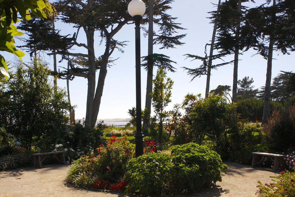 Back Bay Inn Los Osos Exteriör bild