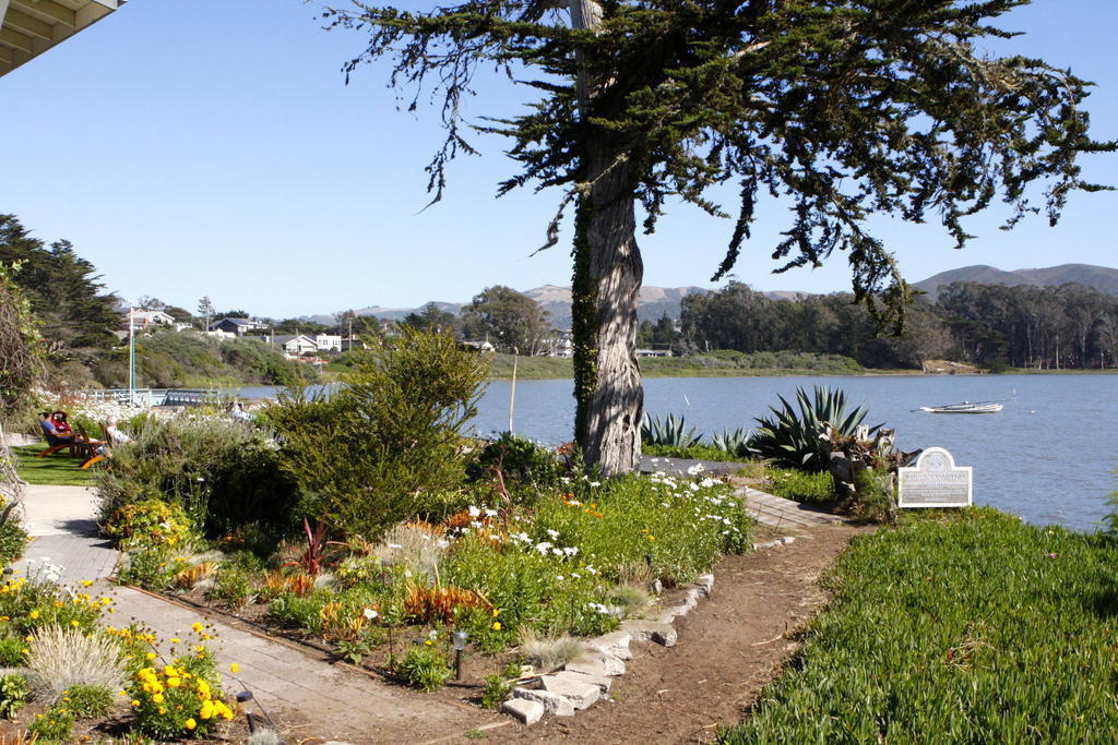 Back Bay Inn Los Osos Exteriör bild