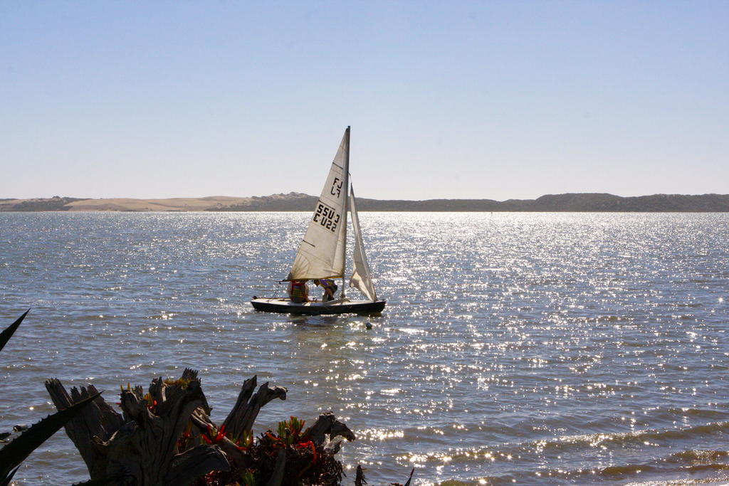 Back Bay Inn Los Osos Exteriör bild