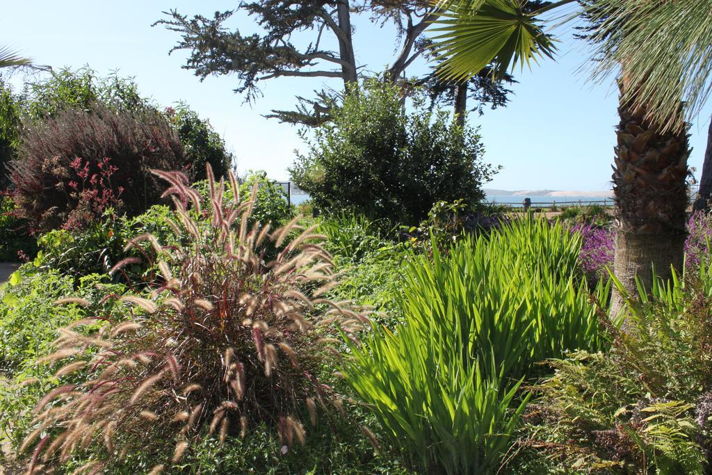 Back Bay Inn Los Osos Exteriör bild